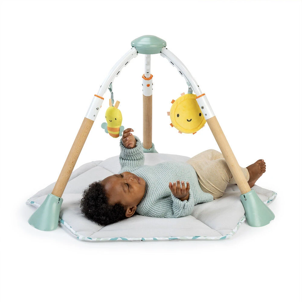 Ingenuity Tummy-to-Toes 6-in-1 Milestones Center