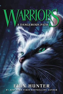 Warriors #5: A Dangerous Path - English Edition
