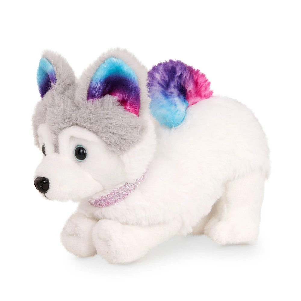 Our Generation - Siberian Husky Pup