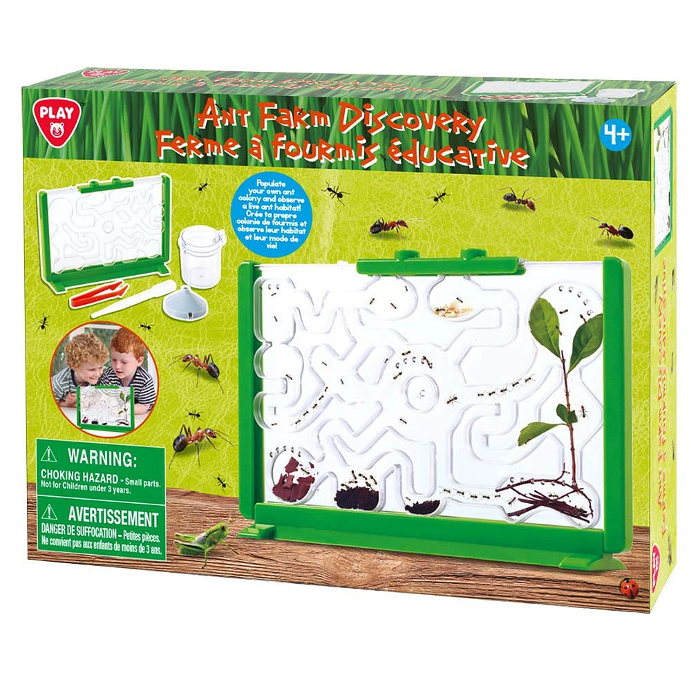 Ant Farm Discovery