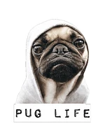 PUG LIFE | T-Shirt Time