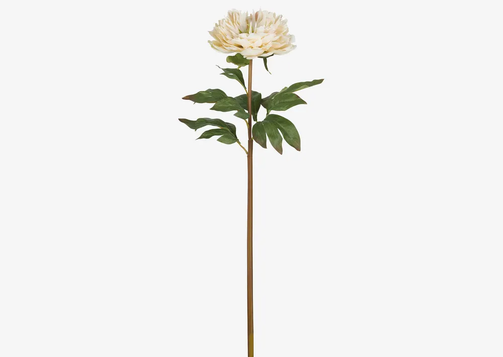 Jayde Peony Stem Ivory