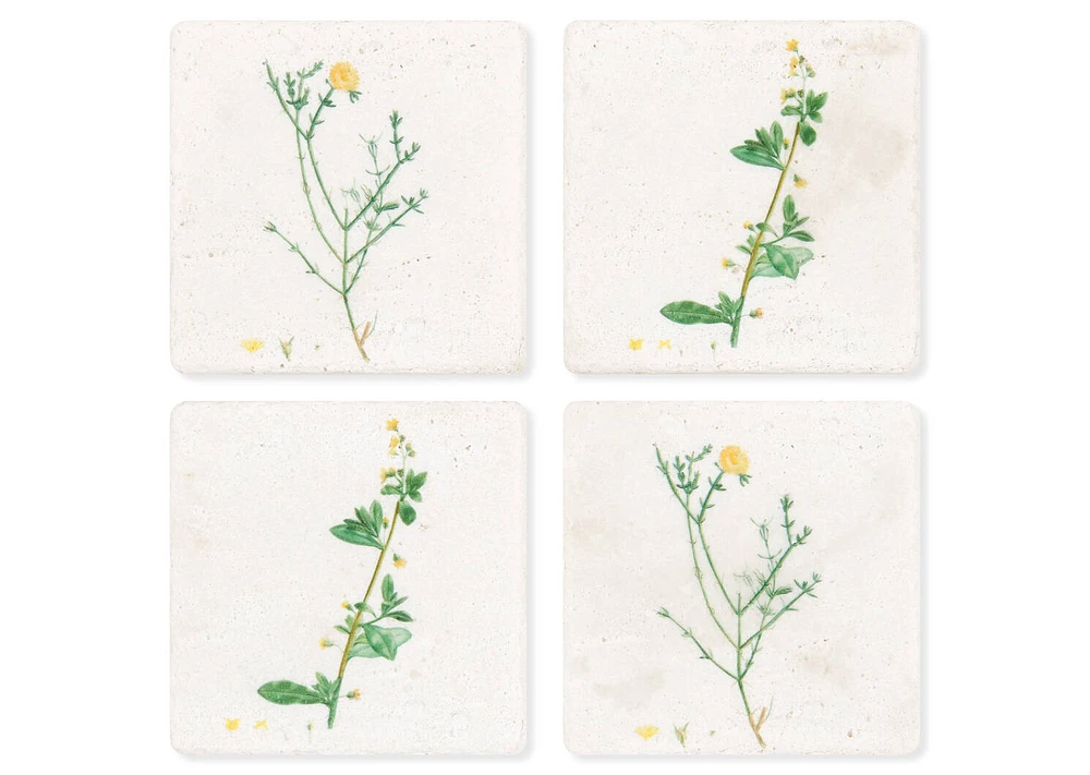 Jasmine Coaster Set
