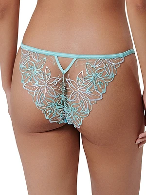 Lilly Brief Panty