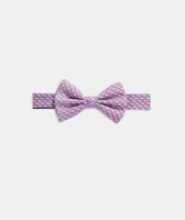 Boys' Vineyard Whale Bow Tie