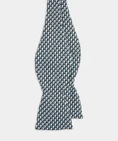 Vineyard Whale Bow Tie