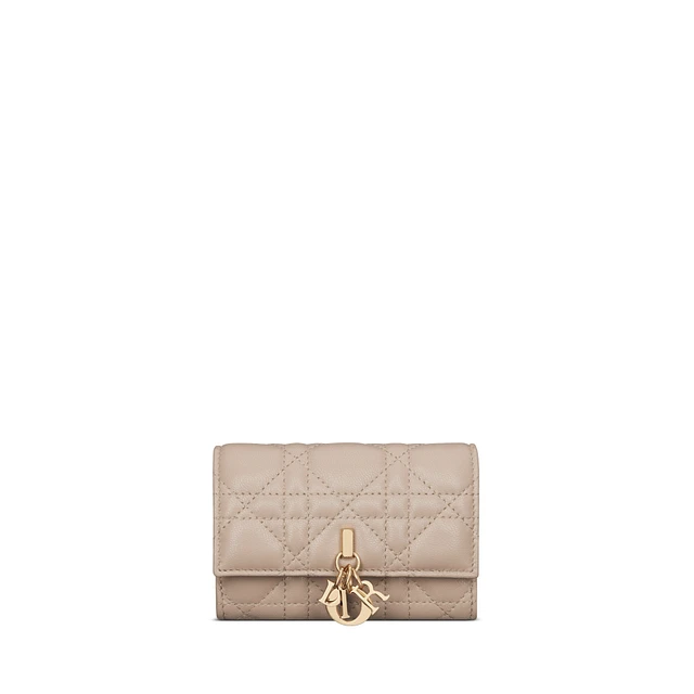 DIOR AND HYLTON NEL Dior Yoyo Zipped Pouch at Mall of