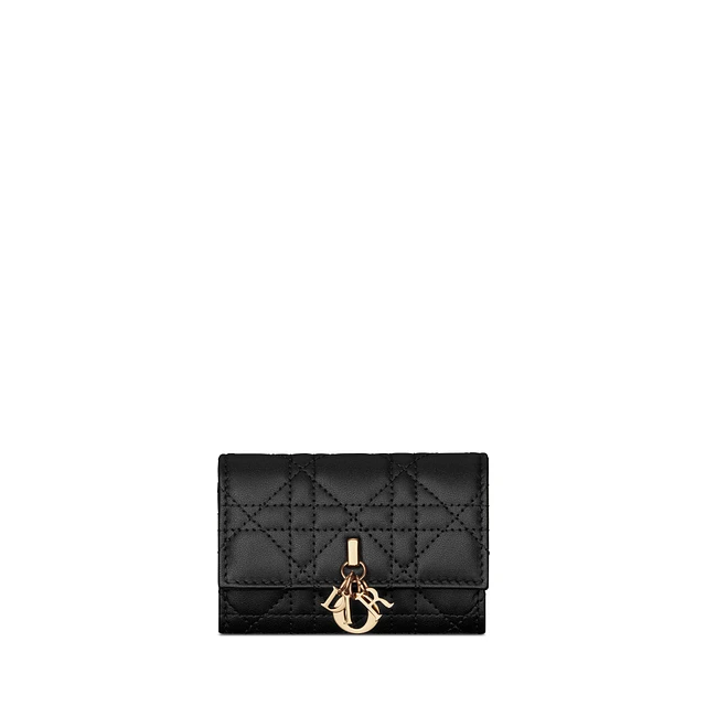 DIOR ディオール ジップポーチ DIOR AND HYLTON NEL Dior Yoyo 実用的で可愛い】DIOR AND HYLTON NEL Dior Yoyo ジップポーチ