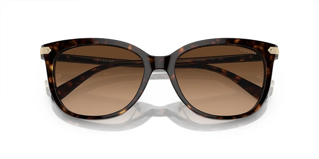 【送料,関税込】 COACH サングラス CL926 HC8378U Coach HC8378U CL926 XXL (57 - 17) with Grey lenses and Black