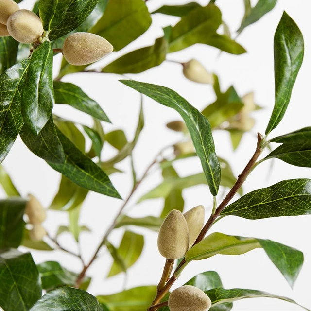almondtree様 リクエスト 7点 まとめ商品 Natural Sliced Almonds - Treehouse California Almonds