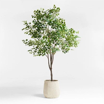 Crate & Barrel Potted Faux Almond Tree 8' | Square One