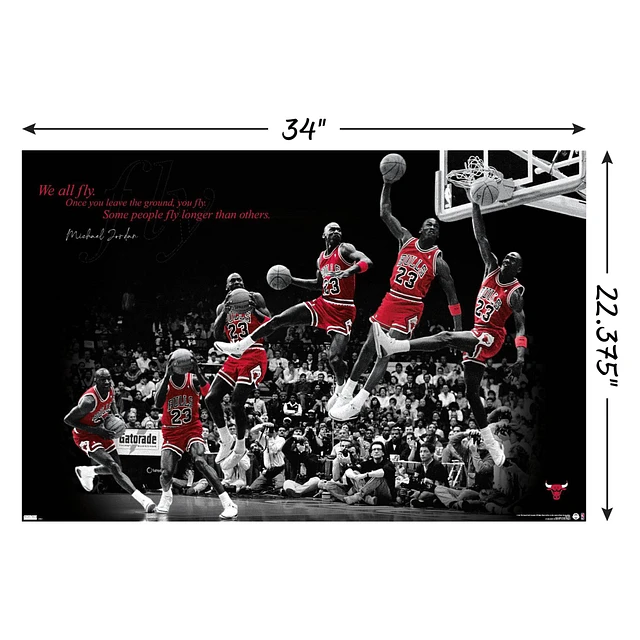 Five Below Michael jordan poster 34in x 22.375in at Hamilton