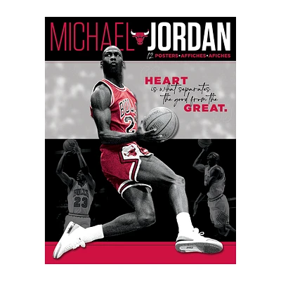Five Below Michael jordan poster 34in x 22.375in at Hamilton