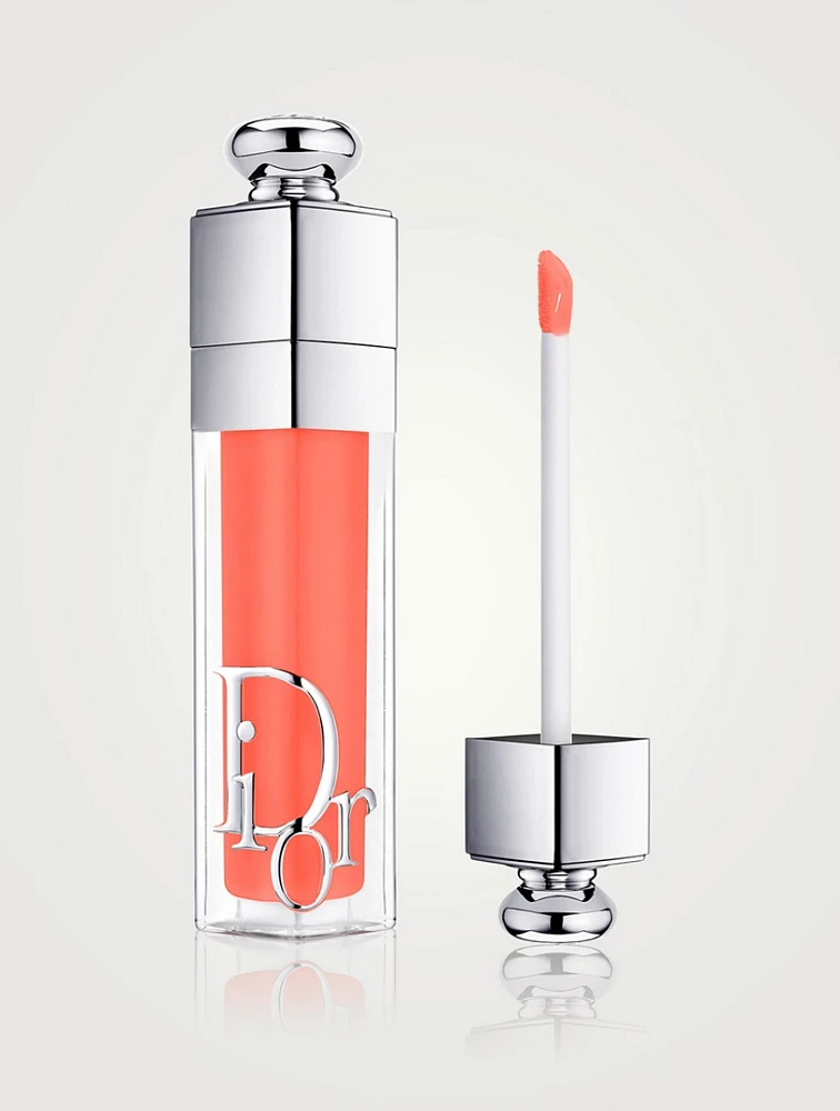 Dior Addict Lip Maximizer & Rouge Diorセッ dior-ADDICT-Lip-maximizer-029-