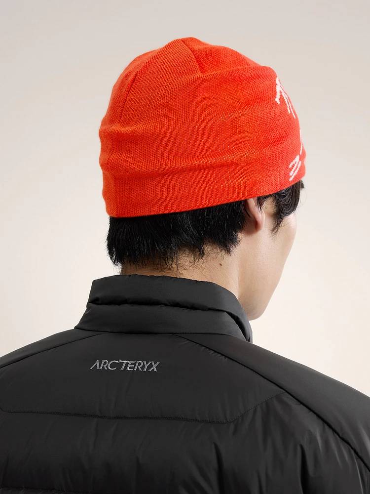 Arc'teryx Bird Head Toque at Coquitlam Centre in Coquitlam, BC