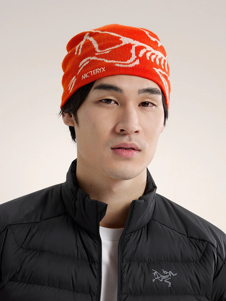 【正規品】ARC'TERYX Bird Head Toque Bird Head Toque | Arc'teryx Canada