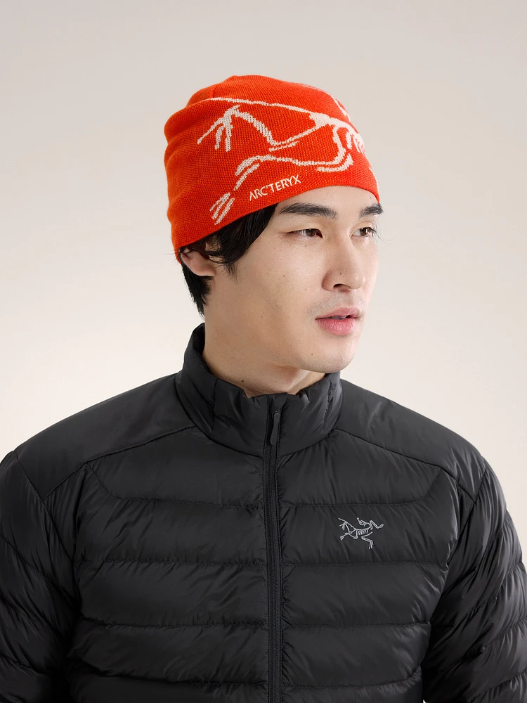 カナダ購入正規品ARC’TERYX Bird Head Toque⭐︎ニット帽 ARC'TERYX ニットキャップ ビーニー Bird Head Toque｜MIRISE