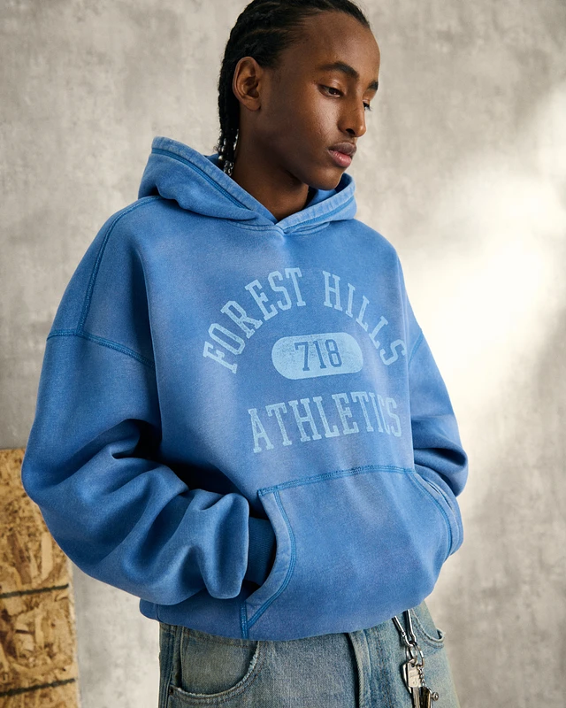 Hollister Baggy Cinch Washed Forest Hills Graphic Hoodie at