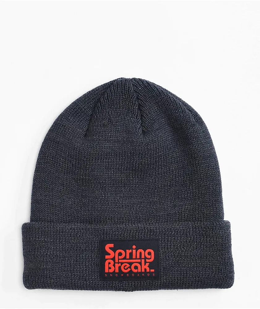Capita Spring Break Dark Grey Beanie | Liberty Center